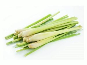 Cорго лимонное