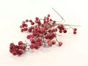 Розовый перец, он же шинус