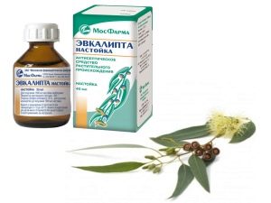 Настойка эвкалипта