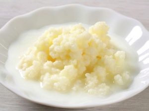 Молочный гриб