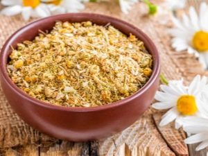 Как сушить ромашку в домашних условиях?