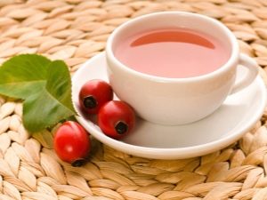 Польза и вред чая с шиповником