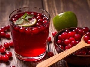 Клюква при цистите: рецепты приготовления и как правильно принимать