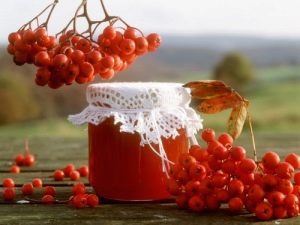 Секреты приготовления варенья из красной рябины