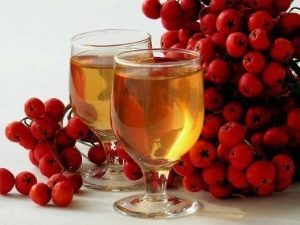Секреты приготовления вина из рябины