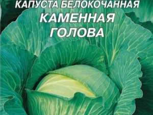 Характеристики сорта капусты «Каменная голова»