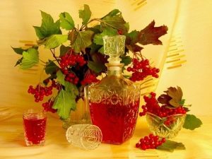 Как приготовить настойку из калины?