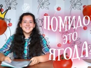 Помидор — это ягода или овощ?