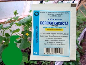 Борная кислота для огурцов и помидоров: приготовление, дозировка и сроки внесения
