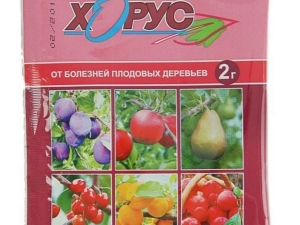 Инструкция по применению «Хоруса» для винограда