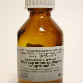 как уничтожить запах чеснока изо рта как уничтожить запах чеснока изо рта