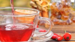 Преимущества лечения шиповником