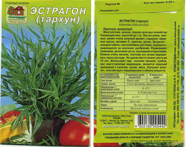 Тархун как растет