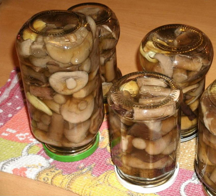 Маринованные подберёзовики на зиму рецепт