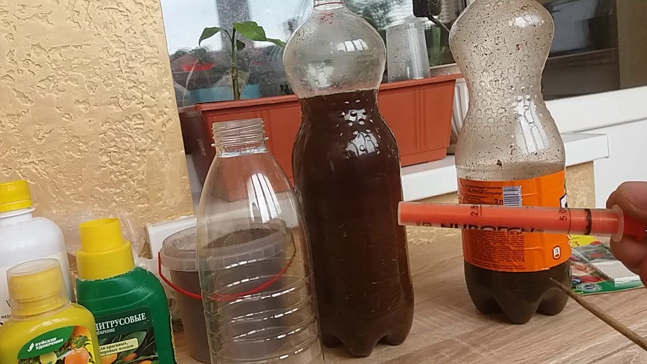 Страховка на урожай Страховка на урожай