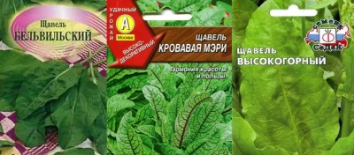Сорта щавеля